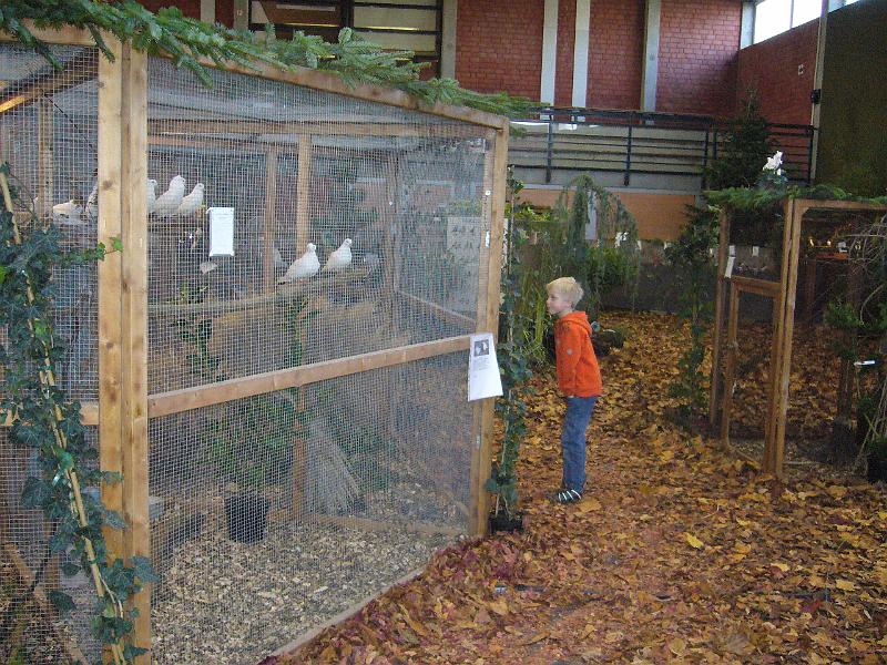 Ortsschau Langenberg 2008 184.jpg - Impressionen der Ortschau Langenberg 2008